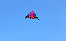 Load image into Gallery viewer, TiffyDance 2.5/3.7/5 Meters Large Delta Kite Flying Ripstop Nylon Kite Reel Dragon Kite (3.7m Kite)
