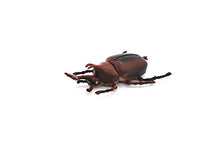 Load image into Gallery viewer, Rhinoceros Beetle Hard Rubber 2 1/4&quot; Long - CWG08B13
