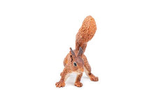 Load image into Gallery viewer, Papo -hand-painted - figurine -Wild animal kingdom - Squirrel -50255 -Collectible - For Children - Suitable for Boys and Girls- From 3 years old
