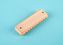 Load image into Gallery viewer, Hape Blues Harmonica | 10 Hole Wooden Musical Instrument Toy for Kids, Orange (E8917)
