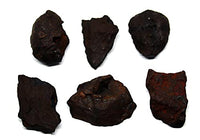 Fossils, Meteorites, & More NANTAN Iron Meteorite Lot of 6 -Genuine-94.0 Grams w/Card & COA #16382 9o