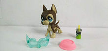 Load image into Gallery viewer, Littlest Pet Shop LPS#817 Brown Great dane Dog Star Eyes with 3pcs Accessories
