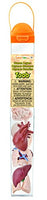 Safari 689304-SNL, Ltd. Human Organs TOOB - Quality Construction from Safe and BPA Free Materials Toy, Multicolor