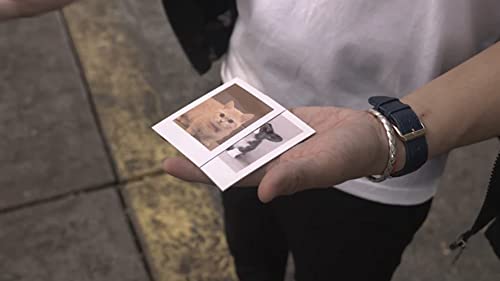 MJM Skymember Presents: Project Polaroid Add-On Kit (Pet Lover)