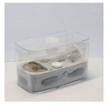 Load image into Gallery viewer, LLNN Insect Villa Acryl Ant Farm DIY Nest, Ant Nest Farm Gypsum Ant Factory, Natural Insect Ecology Box, Educational &amp; Learning Great Gift for Kids and Adults 4.5x1.96x2.75 in Festival Birthday Gift
