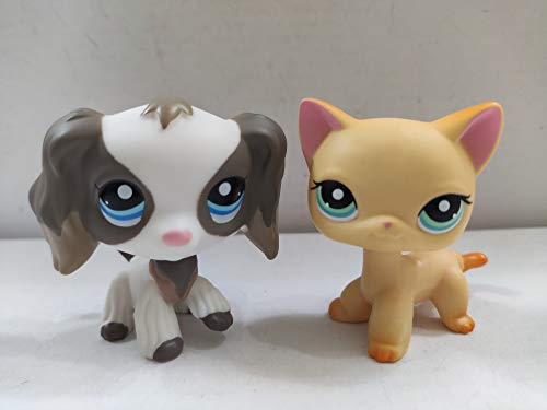 2pcs/Lot Set Pets Littlest Pet Shop LPS Coker Spaniel Yellow Cat Kitty Green Brow Eyes lps Figure Toys