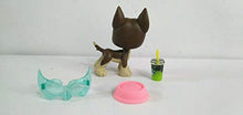 Load image into Gallery viewer, Littlest Pet Shop LPS#817 Brown Great dane Dog Star Eyes with 3pcs Accessories
