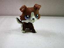 Load image into Gallery viewer, Littlest Pet Shop LPS Brown Collie Dog Kid Toy
