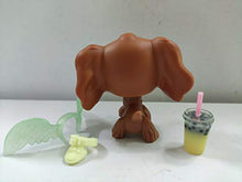 Load image into Gallery viewer, Littlest Pet Shop LPS#252 Brown Cocker Spaniel Dog Toy W/Accessories
