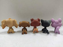 Load image into Gallery viewer, 5pcs/Lot Set Littlest Pet Shop LPS Great Dane Dog Dachshund Dog Collie Cat Kitty Coker Spaniel Dog Fox Figure Toys lps Gift Kids
