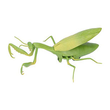 Load image into Gallery viewer, Fockety Toy(Praying Mantis)
