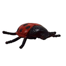 Load image into Gallery viewer, BARMI 10Pcs Simulation Animal Ladybug Insect Model Frightening Trick Toy Ornament,Perfect Child Intellectual Toy Gift Set 10pcs
