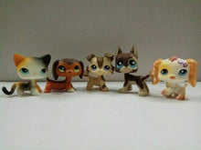 Load image into Gallery viewer, 5pcs/Lot Set Littlest Pet Shop LPS Dachshund Dog Collie Dog Great Dane Dog Cat Kitty lps Figure Toys

