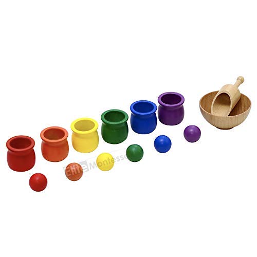 Elite Montessori Preschool Sorting Activity Colored Balls and Cups