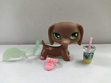 Load image into Gallery viewer, Littlest Pet Shop LPS#556 Brown Dachshund Dog Toy W/Accessories
