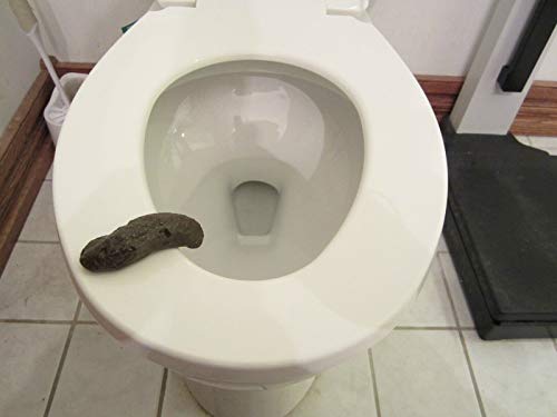 6 New Party Pooper Bathroom Toilet Gag Gift Fake Crap Human TURD Poop Joke