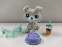 Load image into Gallery viewer, Littlest Pet Shop LPS#363 Grey Collie Dog Toy W/Accessories
