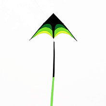 Load image into Gallery viewer, FQD&amp;BNM Kite Large Delta Kite for Adults Kite Nylon Toys Fly Kites Children Kite Reel Kite Factory Eagle Bird,1.6m Kite 6m Tails
