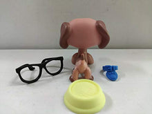 Load image into Gallery viewer, Littlest Pet Shop LPS #2046 Dachshund Dog with 3pcs Accessories
