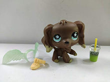 Load image into Gallery viewer, Littlest Pet Shop LPS Chocolate Cocker Spaniel Dog Toy W/Accessories
