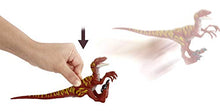 Load image into Gallery viewer, Jurassic World Velociraptor - Jumping Savage Strike Dinosaur Action Figure, Smaller Size, Attack Move Iconic to Species, Movable Arms &amp; Legs, Great Gift for Ages 4 Years Old &amp; Up
