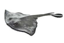 Load image into Gallery viewer, Safari Ltd 100507 Incredible Creatures Sting Ray
