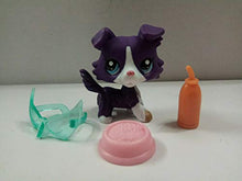 Load image into Gallery viewer, Littlest Pet Shop LPS#1676 Purple White Collie Dog w/3 Accessories
