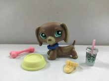 Load image into Gallery viewer, Littlest Pet Shop LPS#1715 Brown Dachshund Dog Blue Eyes/ 5pcs Accessories
