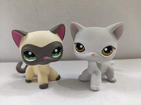 2pcs/Lot Set Pets Littlest Pet Shop LPS Cat Kitty Yellow Brow Eyes lps Figure Toys