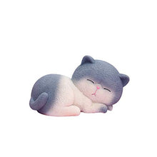 Load image into Gallery viewer, IMIKEYA 1pc Fat Cat Saving Pot Adorable Coin Bank Resin Money Pot Small Change Organizer for Kids Girls Size M Grey
