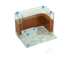 Transparent Ant House Fill Clay Sand Ants Farm Insect Nest Ecology Habitat Professional Ant Villa (Color : Square 13x14x18cm)