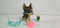 Littlest Pet Shop LPS#817 Brown Great dane Dog Star Eyes with 3pcs Accessories