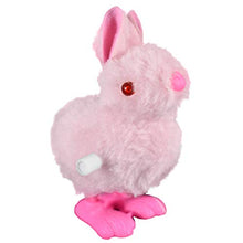 Load image into Gallery viewer, NOVELTY GIANT WWW.NOVELTYGIANT.COM Wind Up Hopping Bunny Easter Egg Bunny 2 Pack (Pink)
