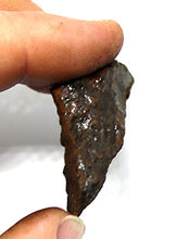 Load image into Gallery viewer, Fossils, Meteorites, &amp; More NANTAN Iron Meteorite Lot of 6 -Genuine-80.6 Grams w/Card &amp; COA #16384 9o
