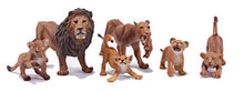 Load image into Gallery viewer, MOPANXI 6PCS Realistic African Lion Family Set Figurines with Lion Cubs, 2-5&quot; Safari Animals Figures, Diorama Educational Toy Cake Toppers Christmas Birthday Gift for Kids Toddlers
