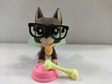 Load image into Gallery viewer, Littlest Pet Shop LPS#1519 Brown Great dane Dog w/Accessories
