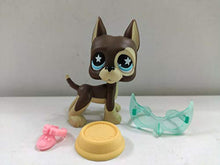 Load image into Gallery viewer, Littlest Pet Shop LPS#817 Brown Great Dane Dog Toy W/Accessories
