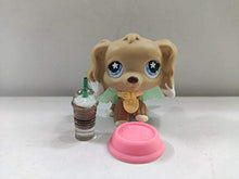 Load image into Gallery viewer, Littlest Pet Shop LPS Cocker Spaniel Dog Toy Blue Eye with 4pcs Accessories

