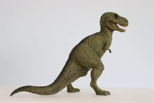 Load image into Gallery viewer, Lana Toys REBOR 80s T-Rex Toy Hd Remastered Californiacation VHS Model Tyrannosaurus Rex Figure Realistic Dinosaur PVC Collector Toys Animal Model Decoration Gift for Adult
