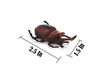 Load image into Gallery viewer, Rhinoceros Beetle Hard Rubber 2 1/4&quot; Long - CWG08B13
