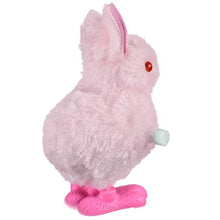 Load image into Gallery viewer, NOVELTY GIANT WWW.NOVELTYGIANT.COM Wind Up Hopping Bunny Easter Egg Bunny 2 Pack (Pink)
