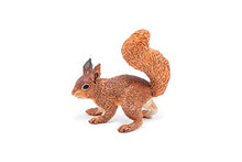 Load image into Gallery viewer, Papo -hand-painted - figurine -Wild animal kingdom - Squirrel -50255 -Collectible - For Children - Suitable for Boys and Girls- From 3 years old
