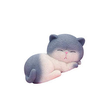Load image into Gallery viewer, IMIKEYA 1pc Fat Cat Saving Pot Adorable Coin Bank Resin Money Pot Small Change Organizer for Kids Girls Size M Grey
