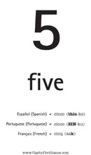 Load image into Gallery viewer, Flash of Brilliance Numbers Shapes and Colors Flash Cards with Spanish, French, and Portuguese translations for Each Number
