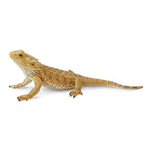 Load image into Gallery viewer, CollectA Bearded Dragon Lizard Toy Figure - Authentic Hand Painted Model , Tan
