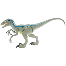 Load image into Gallery viewer, Jurassic World Super Colossal Velociraptor Blue 18 High &amp; 3.5 Feet Long with Realistic Color, Articulated Arms &amp; Legs, Swallows 20 Mini Action Figures [Amazon Exclusive]
