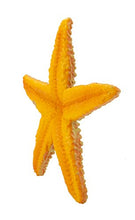 Load image into Gallery viewer, Safari Ltd Wild Safari Sea Life Starfish
