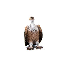 Load image into Gallery viewer, Schleich Wild Life, Animal Figurine, Animal Toys for Boys and Girls 3-8 years old, Vulture
