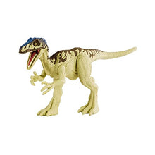 Load image into Gallery viewer, Jurassic World Camp Cretaceous Attack Pack Coelurus Dinosaur Figure with 5 Articulation Points, Realistic Sculpting &amp; Texture; for Ages 4 Years Old &amp; Up
