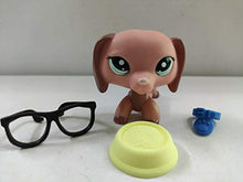 Load image into Gallery viewer, Littlest Pet Shop LPS #2046 Dachshund Dog with 3pcs Accessories

